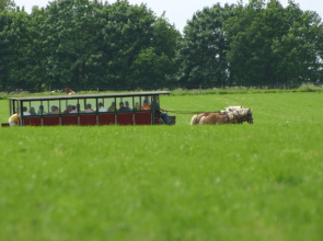 Cosy Chalet With gas Fireplace in Twente