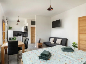 Loft Apartments