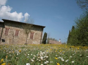 Agriturismo Borgovivo