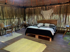 Jungla y Estrellas K AAX EK