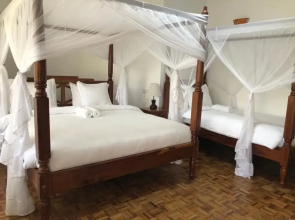 Bird of Paradise Lodge