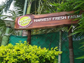 Harvest Fresh Farms