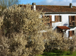 Masseria Cerasella