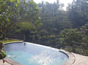 Wedang Villa