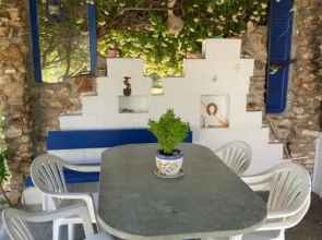 Wine & Olive Studio