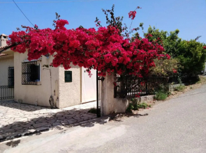 Comfy house with private garden & view, near Kyparissia Castle