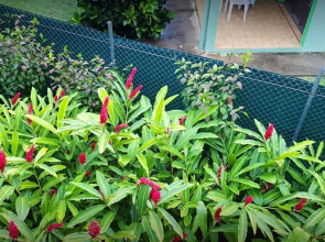 Studio in Les Anses-d'arlet, With Wonderful Mountain View, Enclosed Garden and Wifi