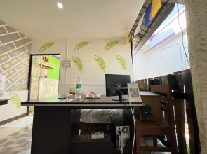 Green Reed Homestay