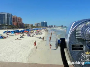 Avalon At Clearwater