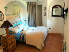 B&B Viola