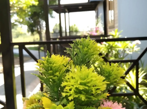 Raghunandan Resort