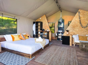 Cicada Luxury Camping