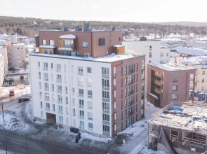 Tuomas´luxurious suites, Koivu