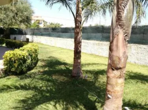 Villa Al Mare