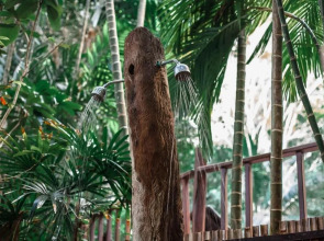 The Vatika Resort and Spa