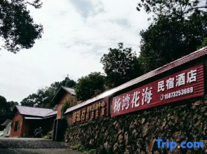 Shaoshan Yangwan Sea of Flowers Homestay