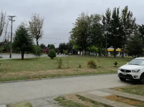 Bosque Valdiviano Apartment