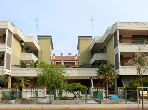 Nettuno 53