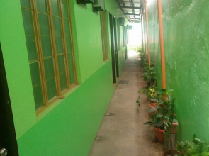 Sunday Cocoon Guesthouse 2
