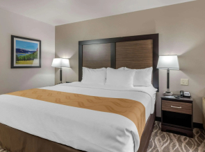 Quality Inn & Suites