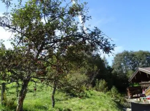 AlpinResort DerBacherhof