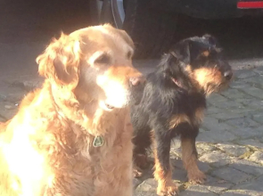 Ferienwohnung Jäger