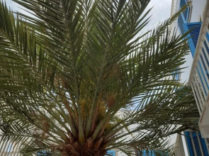 App Alex, Estoril Beach - Step Away From the sea Free Wifi