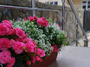 Feniks Mini Hotel