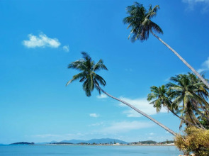 Chaweng Budget Hotel