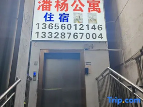 panyqngzhusu