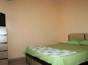 Саквояж на проспекте Ленина, 6