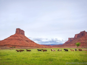 Sorrel River Ranch Resort