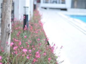 Club Sema Suite Hotel