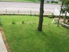 Apartments Viktorija