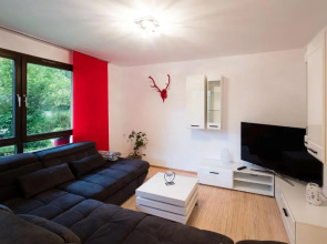 W & S Executive Apartments - Hallstatt I