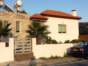The Old Olive Tree House