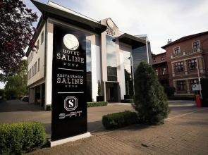 Hotel Saline