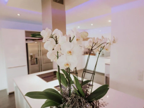 Luxury Apartment & Penthouse Villa