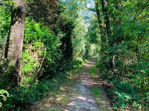 Zonnebos, private garden, fresh air, relax!