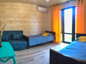 Cottage on Novosyolov street 20