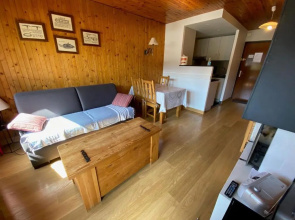 Appartement La Clusaz, 2 pièces, 4 personnes - FR-1-459-116