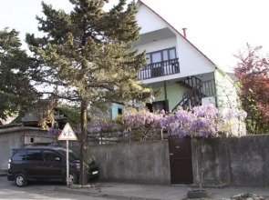 Homestay Gold