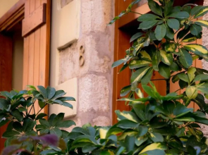 Villa Milli