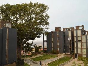 Lofts Magnolio Cerro Alegre