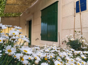 Garden apartment with a View