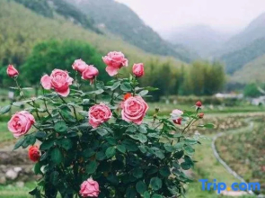 Tianzhu Huaxi Vally B&B