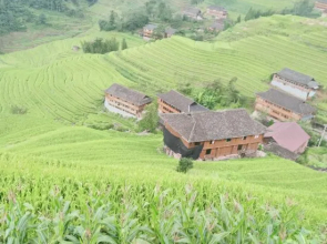 Jinyuan Gelou Homestay