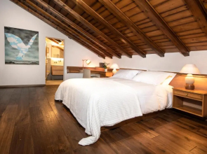 Chalet and Penthouse Zen, two Properties, 100m from Ski Lift and Piste