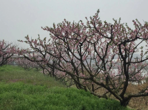 Yiwu Lihao Inn