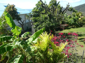 Douceurs Caraïbes, Gîte Balisier.